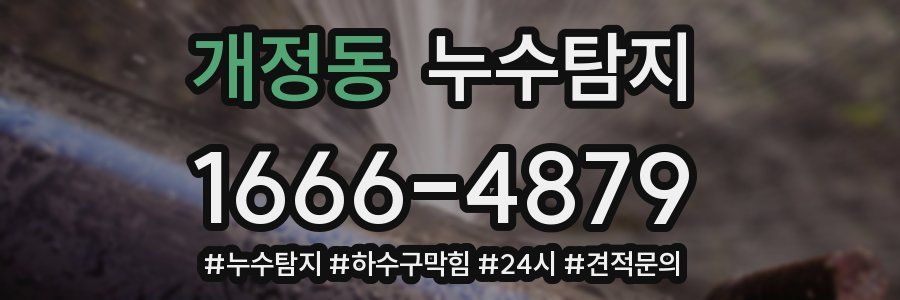 누수닥터 누수탐지