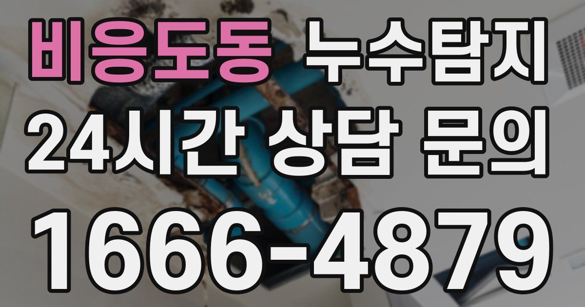 하수구막힘