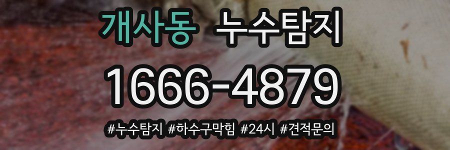 누수닥터 누수탐지
