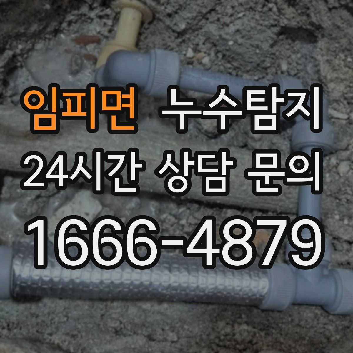 누수탐지