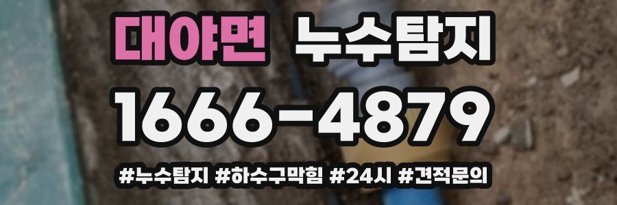 누수닥터 누수탐지
