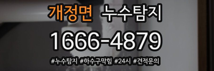 누수닥터 누수탐지