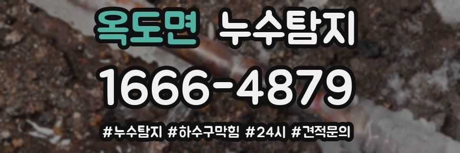 누수닥터 누수탐지