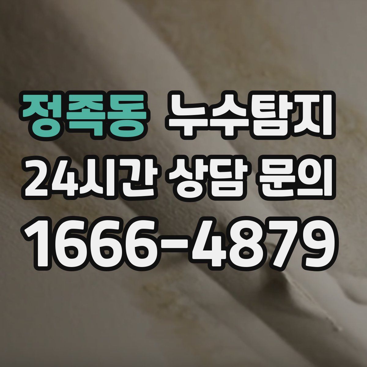 누수탐지