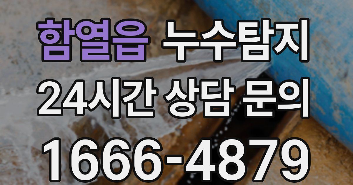 하수구막힘