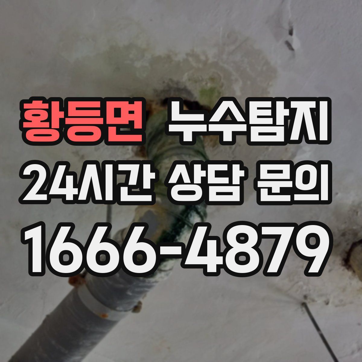 누수탐지
