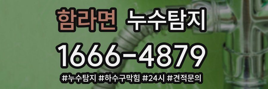 누수닥터 누수탐지