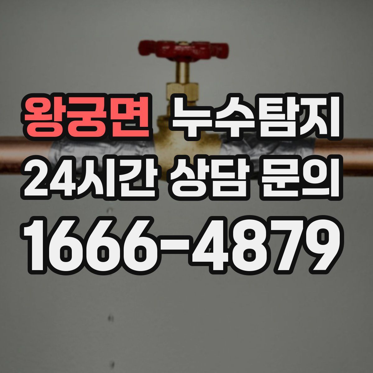 누수탐지