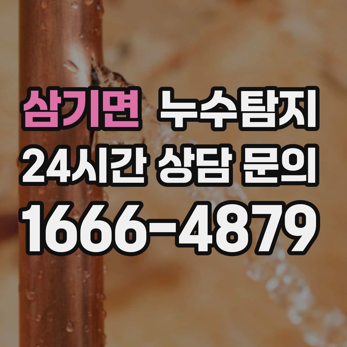 누수탐지