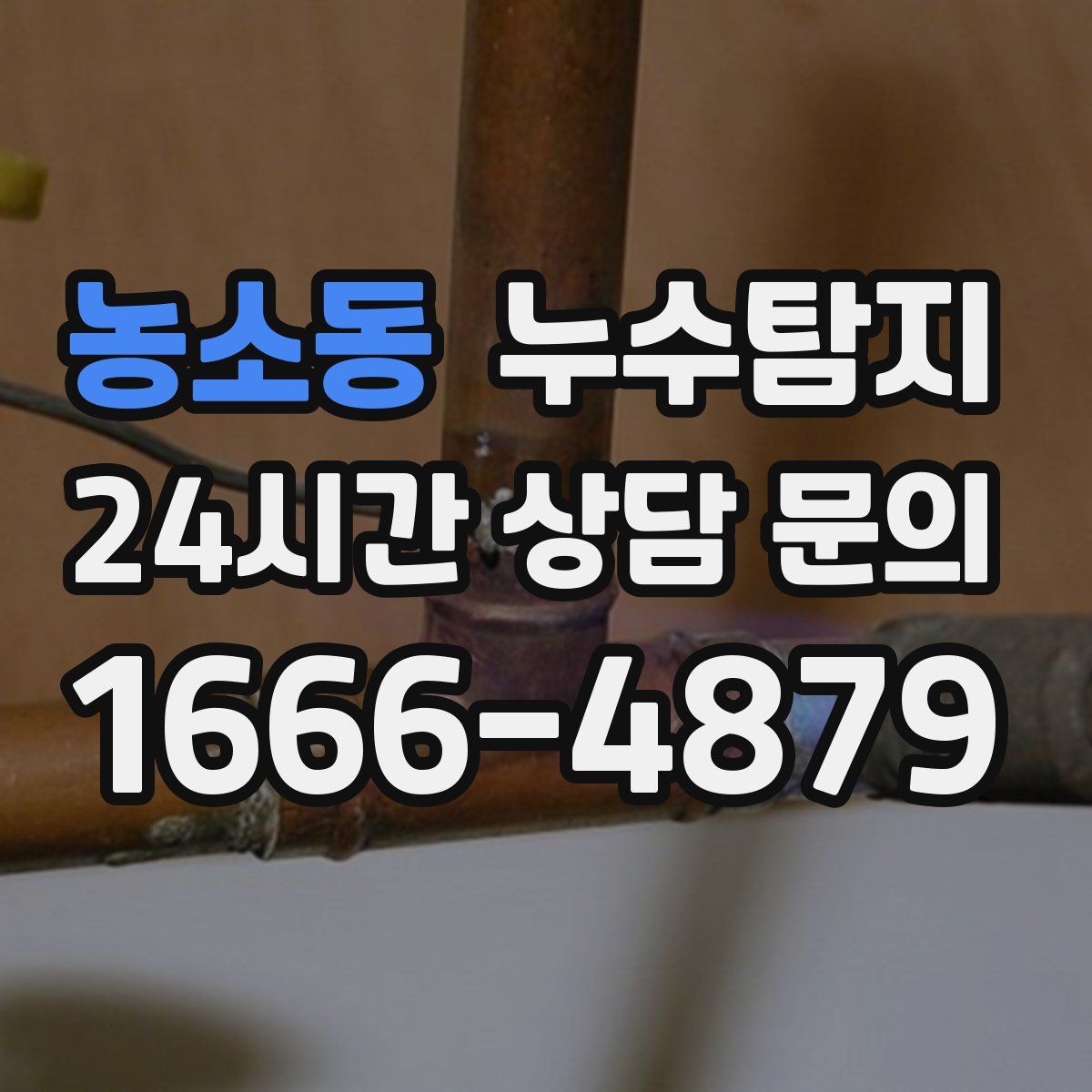 누수탐지