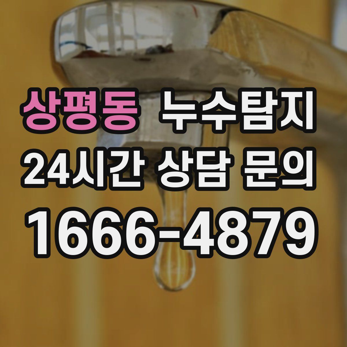 누수탐지