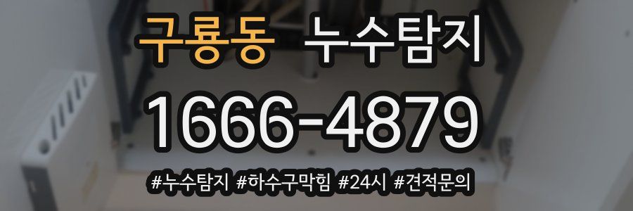 누수닥터 누수탐지