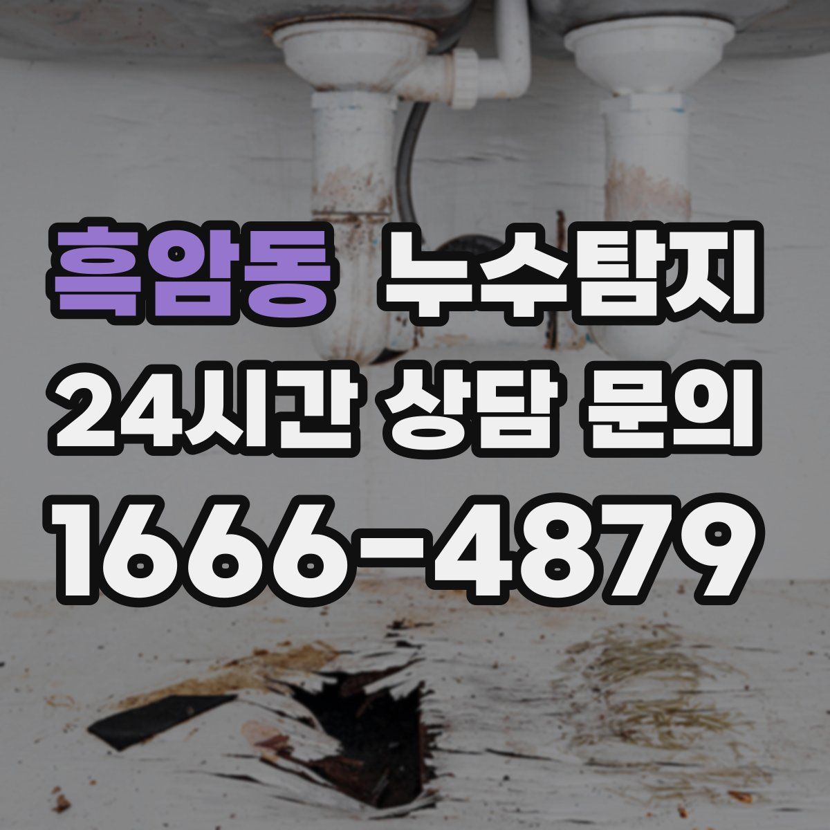 누수탐지