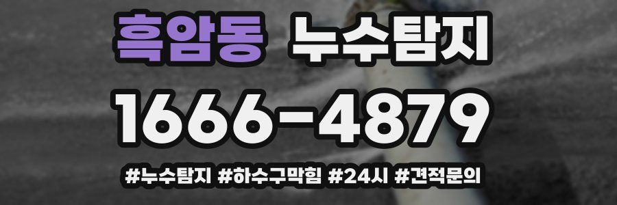누수닥터 누수탐지
