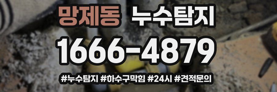 누수닥터 누수탐지