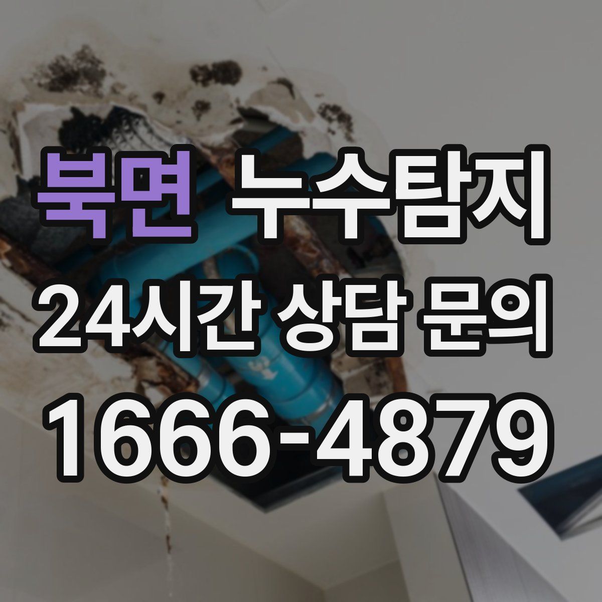 누수탐지