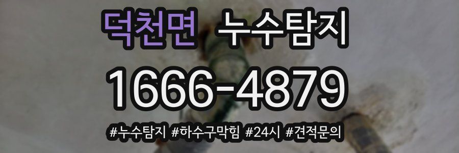 누수닥터 누수탐지