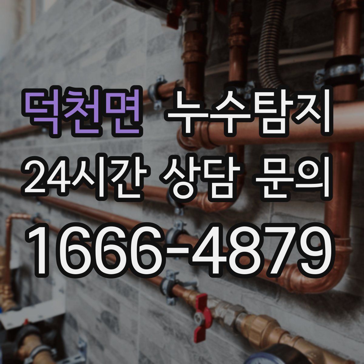 누수탐지