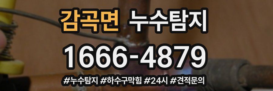 누수닥터 누수탐지