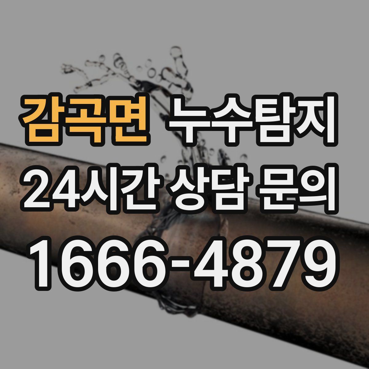 누수탐지