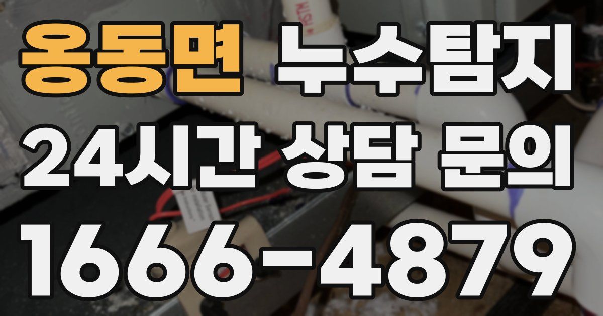 하수구막힘