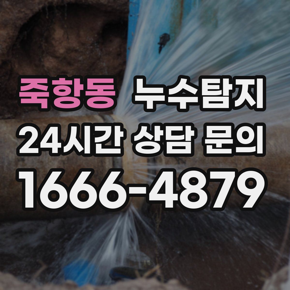 누수탐지