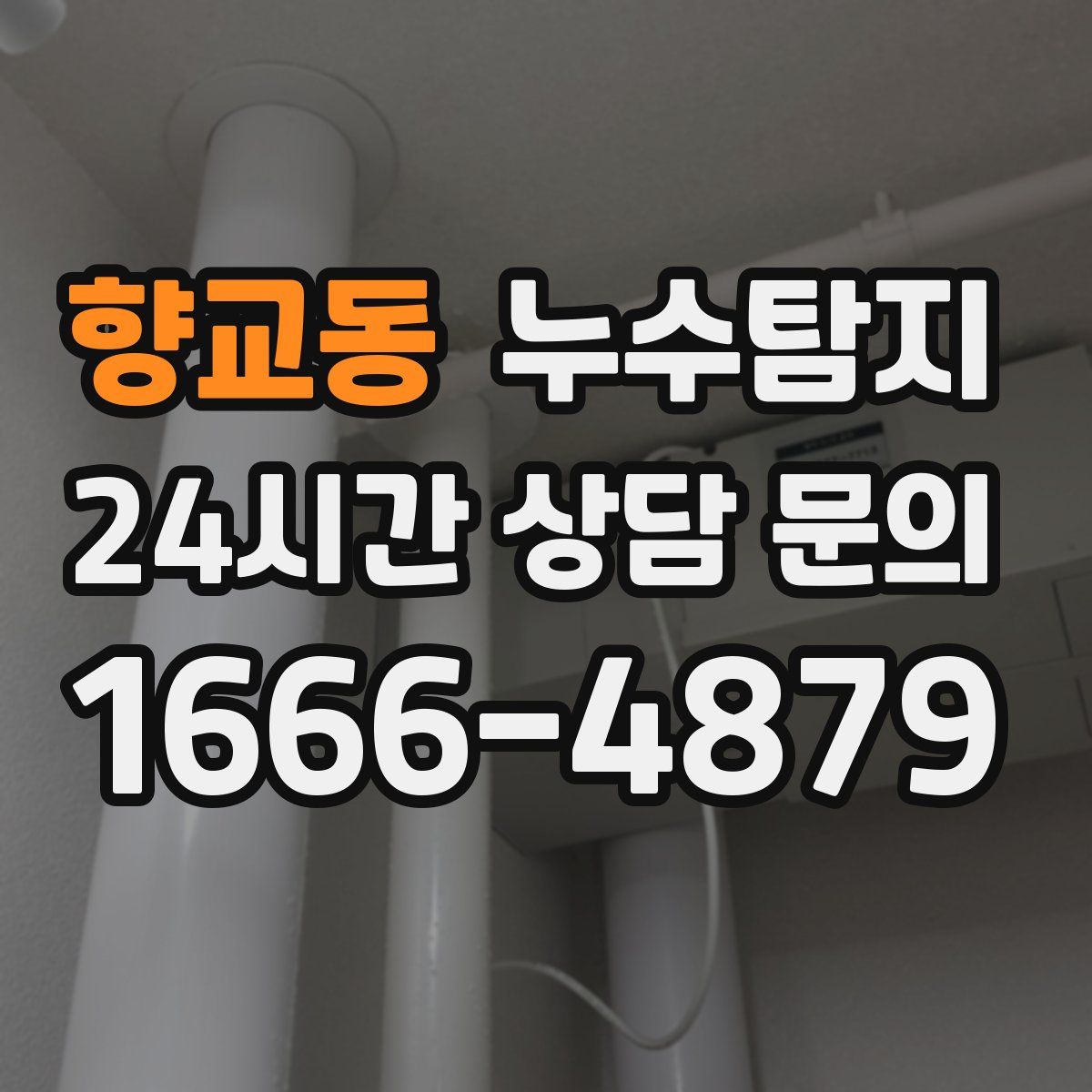 누수탐지