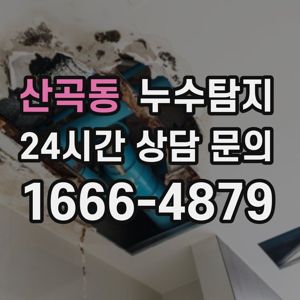 누수탐지