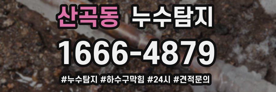 누수닥터 누수탐지