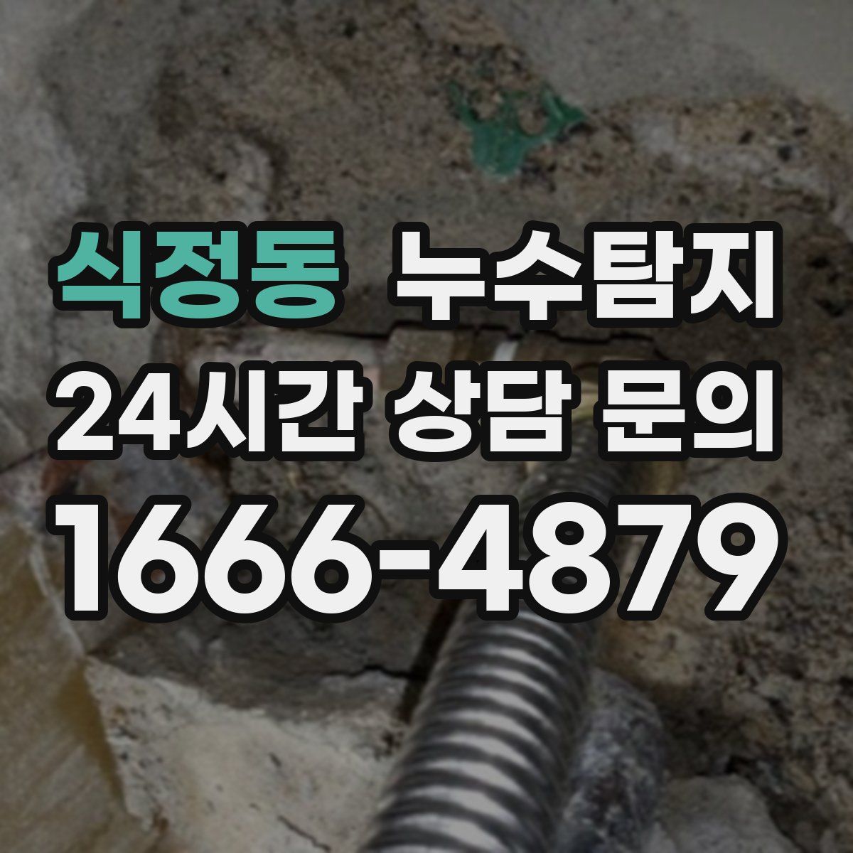 누수탐지