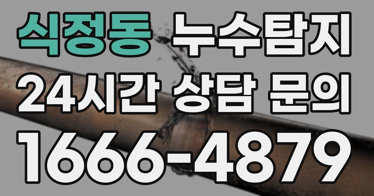 하수구막힘