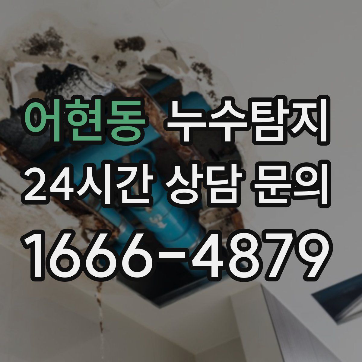누수탐지