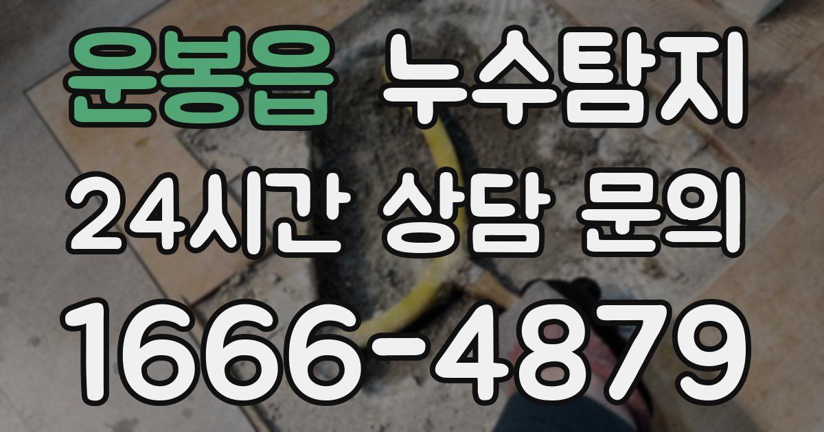 하수구막힘