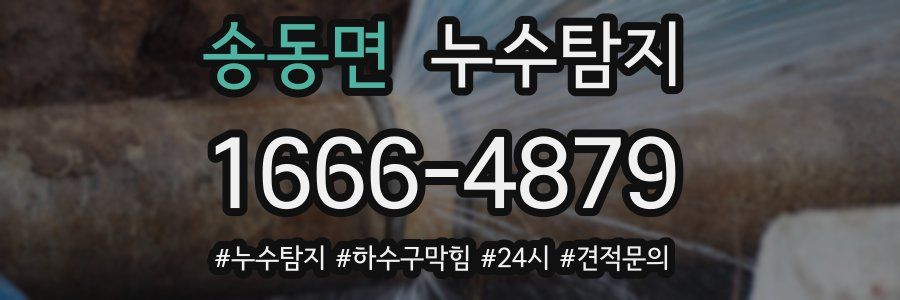 누수닥터 누수탐지