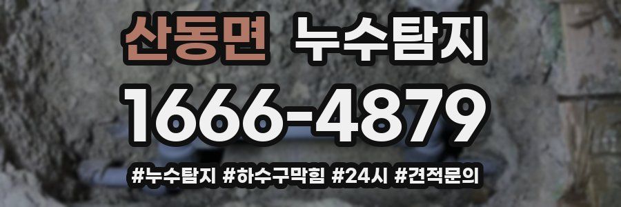 누수닥터 누수탐지
