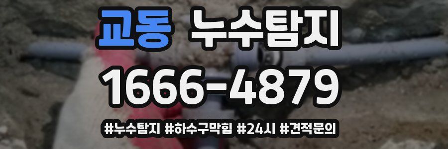 누수닥터 누수탐지