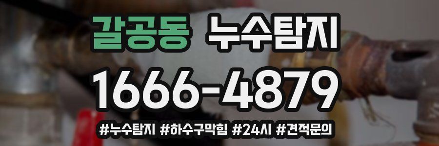 누수닥터 누수탐지