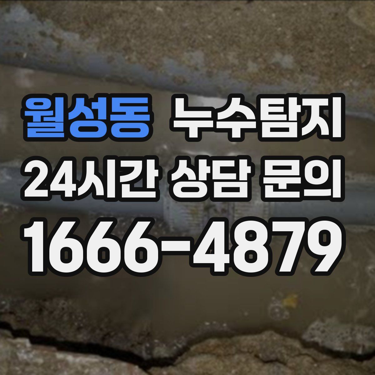 누수탐지