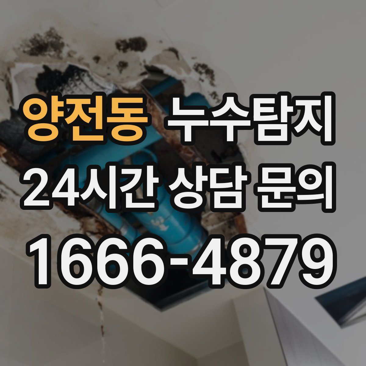 누수탐지