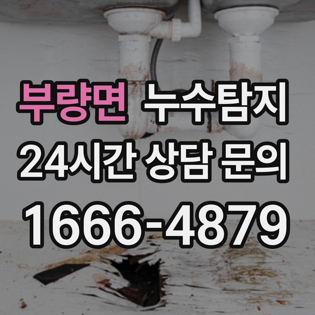 누수탐지
