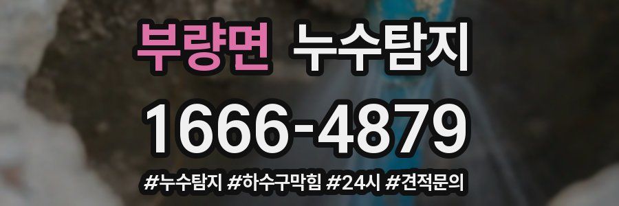 누수닥터 누수탐지