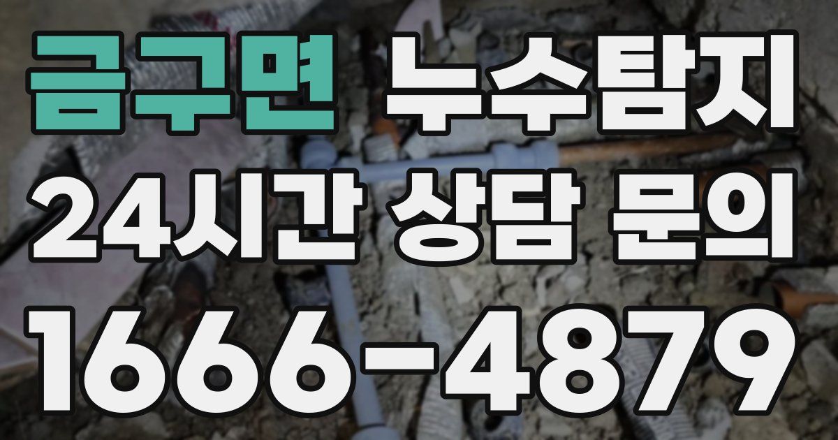 하수구막힘