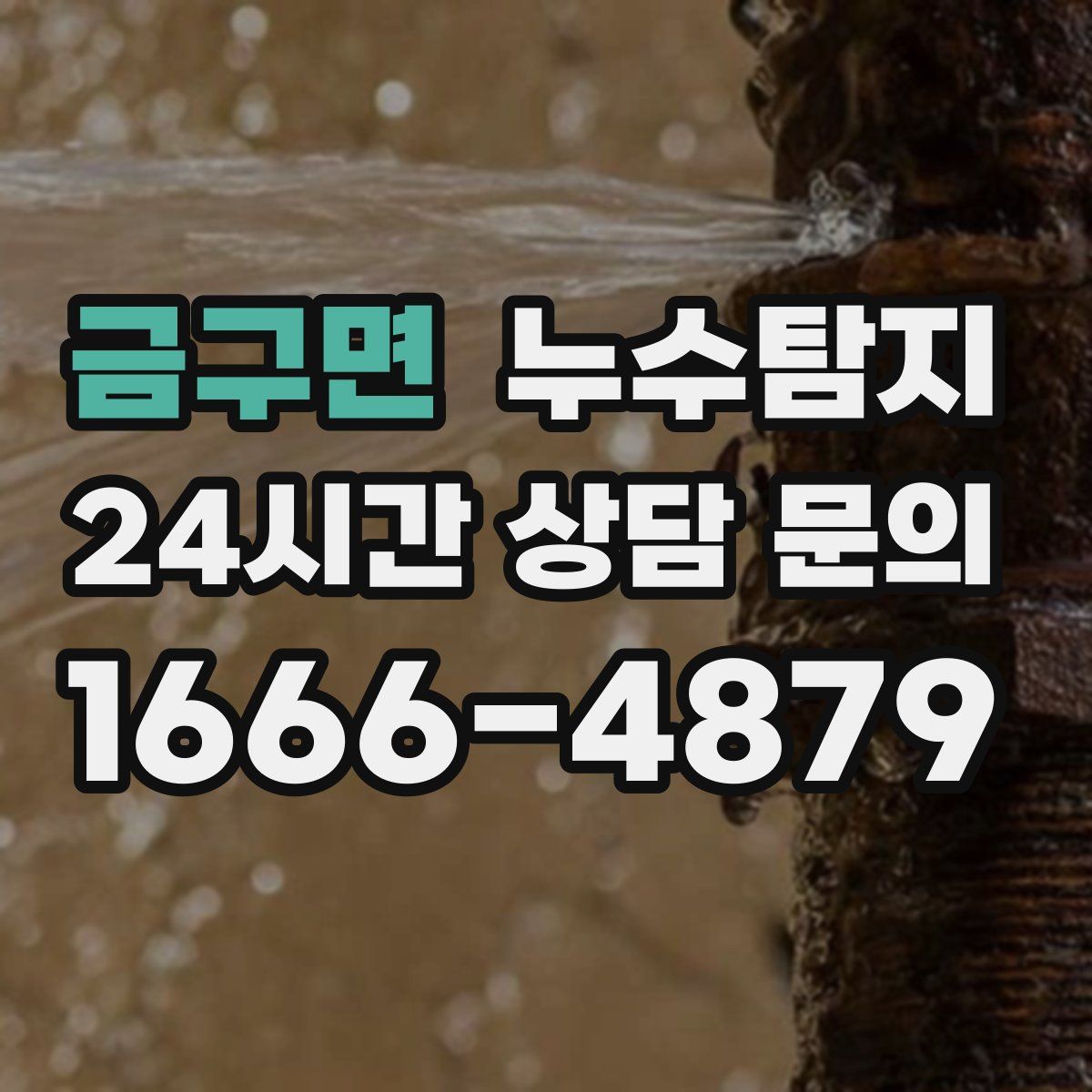 누수탐지