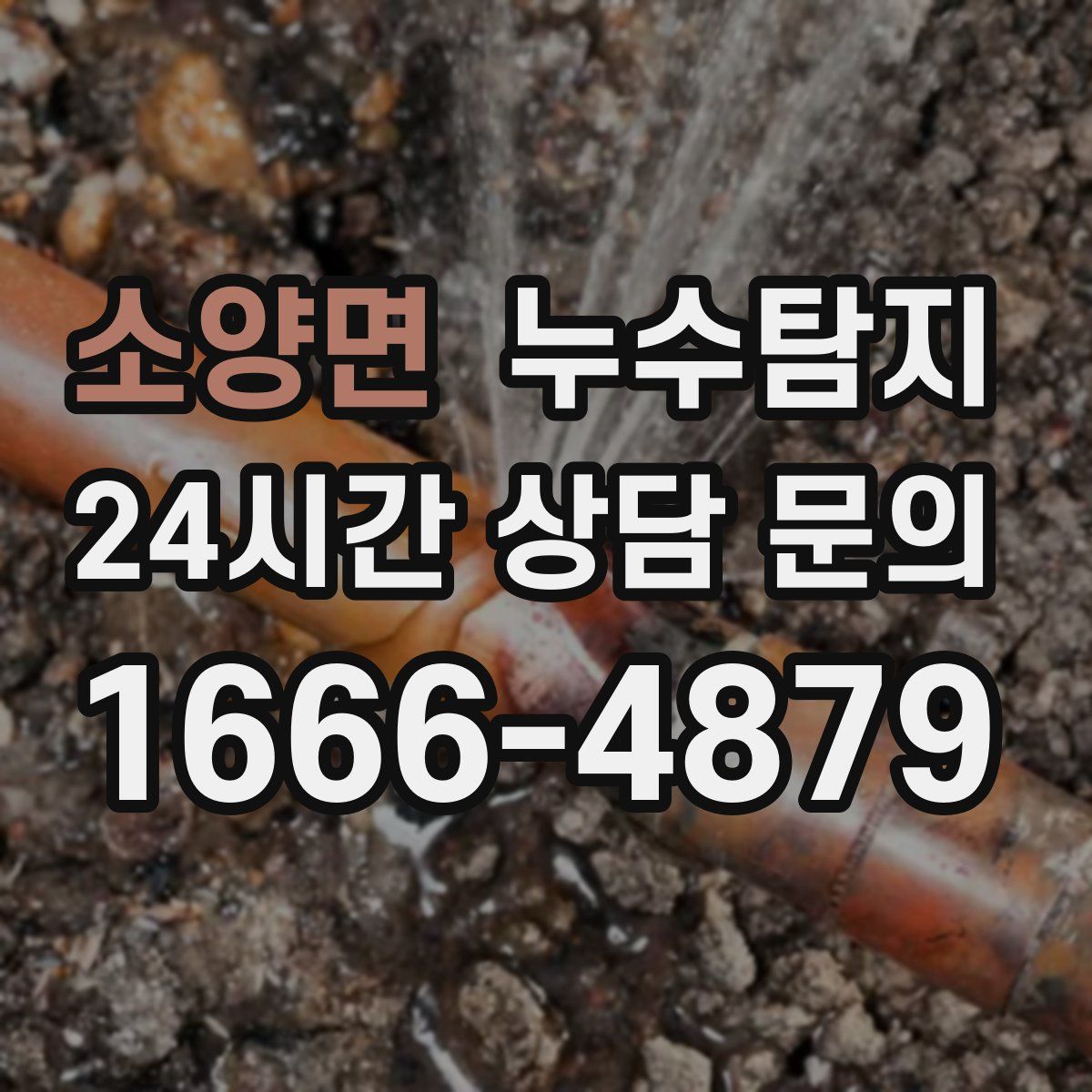 누수탐지