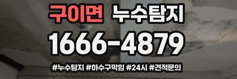 누수닥터 누수탐지