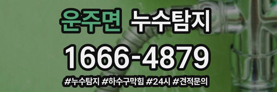 누수닥터 누수탐지