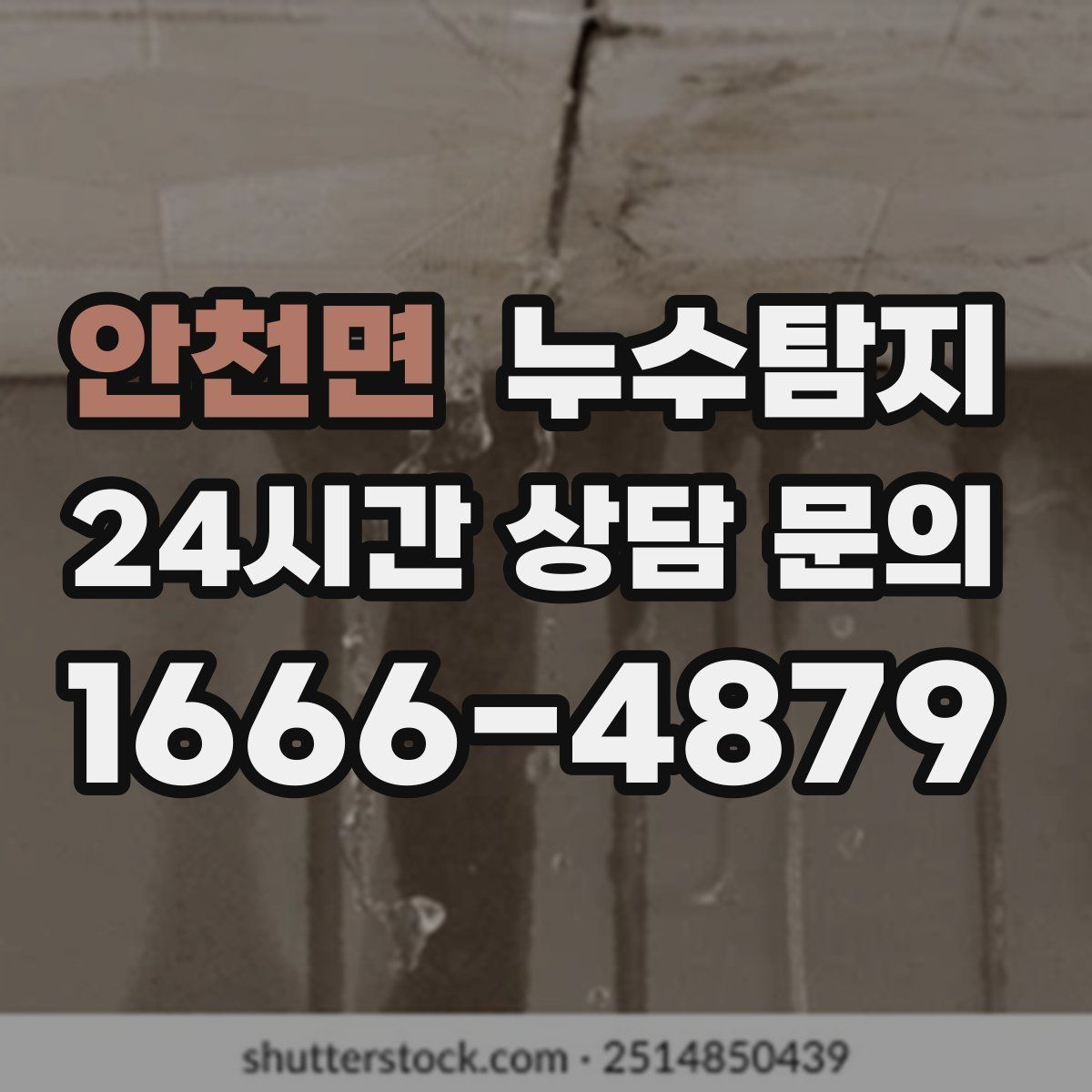 누수탐지