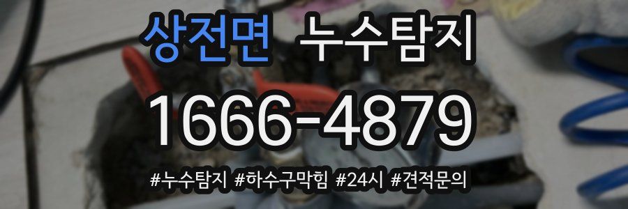 누수닥터 누수탐지