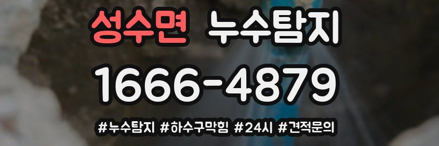 누수닥터 누수탐지