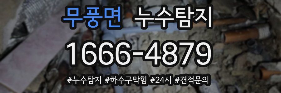 누수닥터 누수탐지